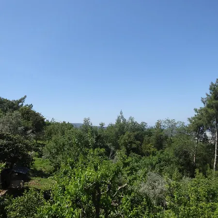 Daire Uzumluapart Kaş
